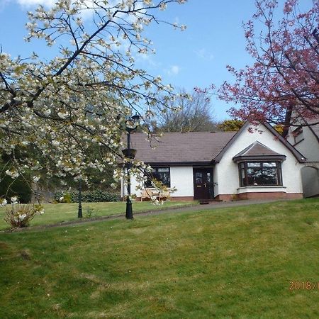 Torrent Cottage Coalisland Exterior photo